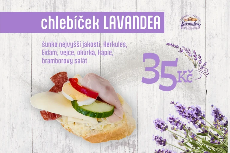 LAVANDEA-24